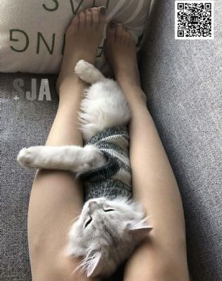 花少3