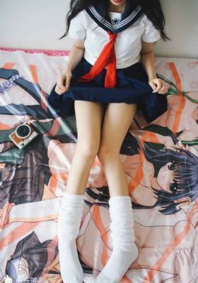 29片棕榈叶
