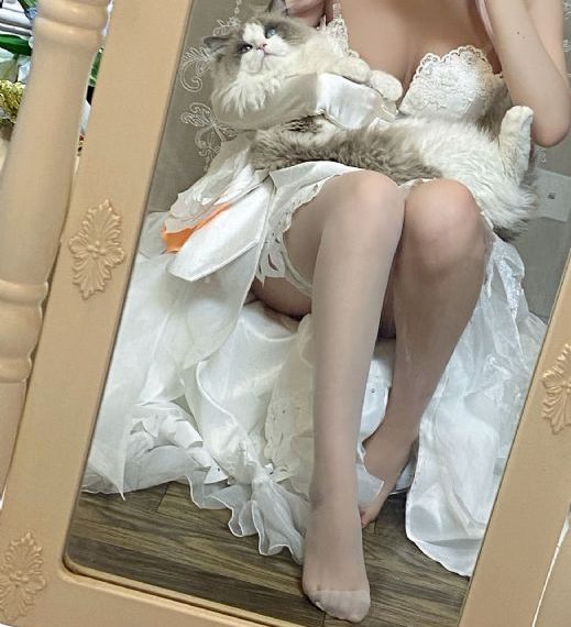 黑兽樱花动漫