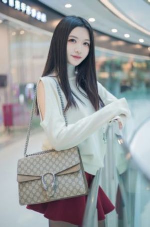 全员加速中2023年免费观看