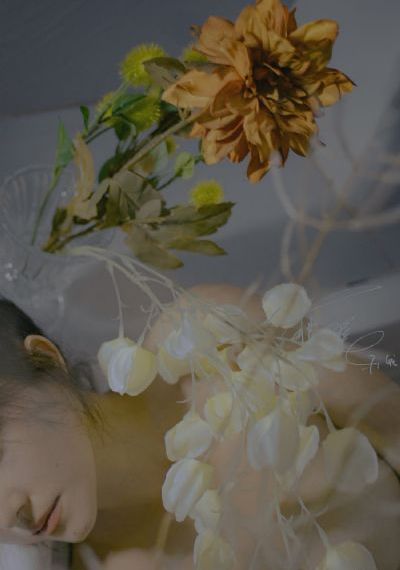 妻子电影