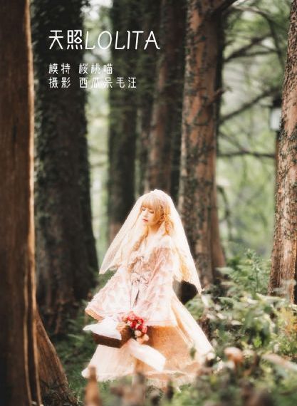 蜘蛛侠1