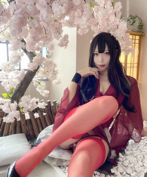 上阳赋 电视剧