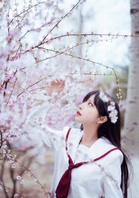 燃冬电视剧在线观看完整版免费